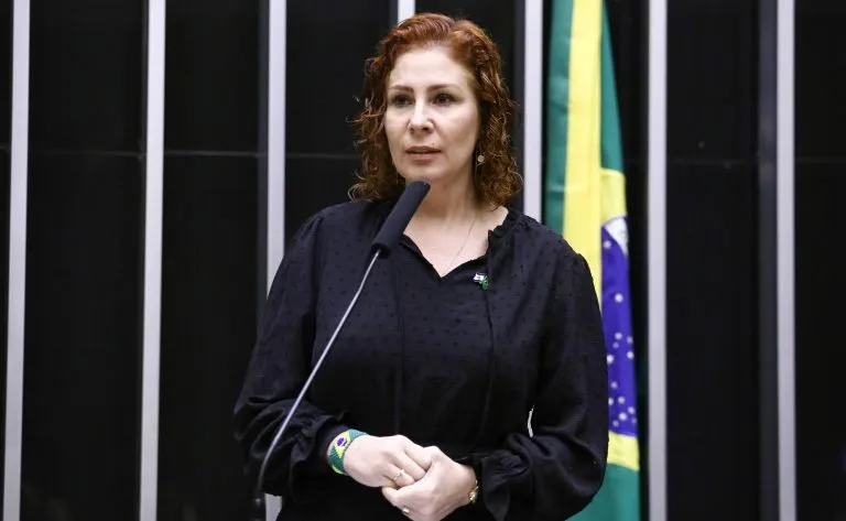 Vinicius Loures/Câmara dos Deputados Fonte: Agência Câmara de Notícias
